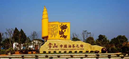 政府委托招商合作丨全力助推浙江衢州常山縣傳統產業加快升級，新興產業異軍突起