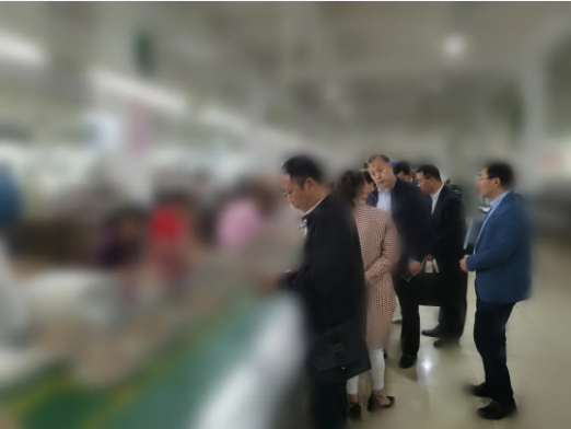 瞄準靶心，精準發力！河北某地方政府成功對接考察亞洲500強鞋服品牌投資選址項目企業