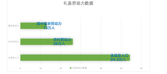 集團(tuán)全力助推甘肅隴南禮縣委托招商引資，以特色產(chǎn)業(yè)招引，推動(dòng)地方經(jīng)濟(jì)蓬勃發(fā)展！