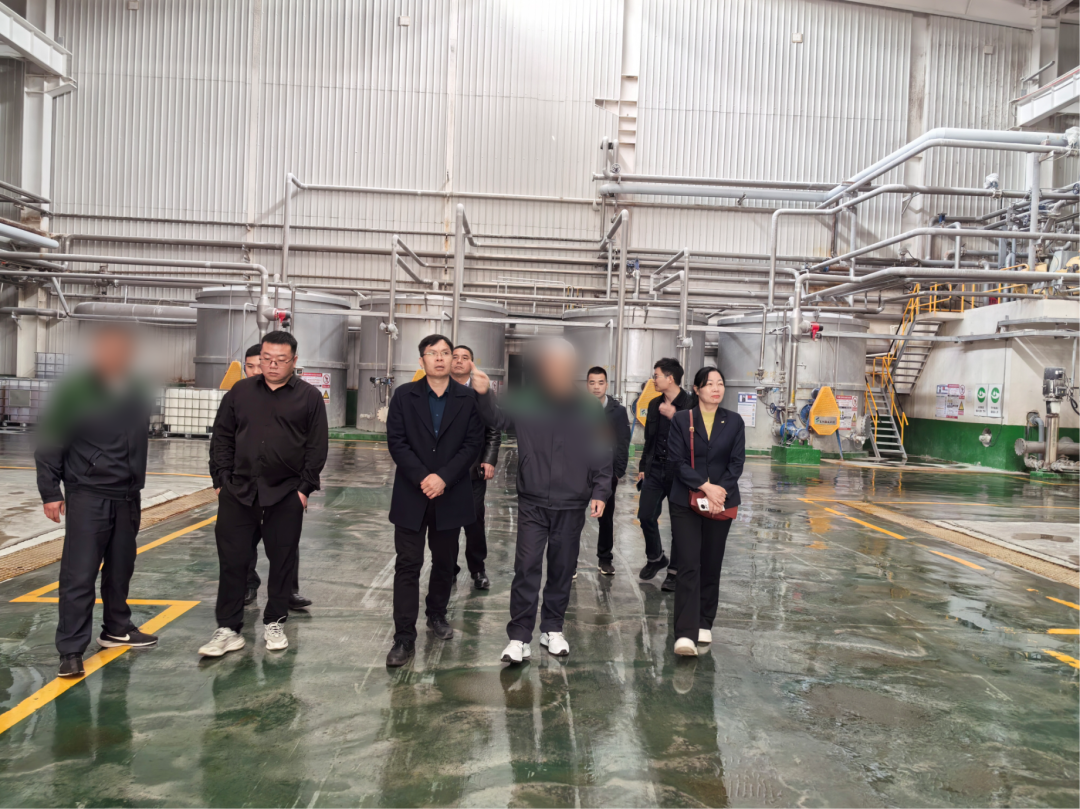 省著名商標企業(yè)，地方造紙龍頭企業(yè)！廣西某地方政府實地對接品牌紙制品擴建投資選址項目